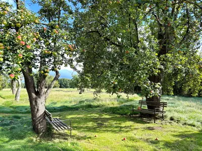 Ferienwohnung für 5 Personen (81 m²) 2/10