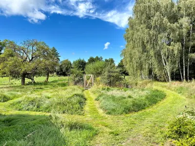 Ferienwohnung für 5 Personen (81 m²) 9/10