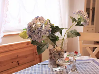 Ferienwohnung für 2 Personen (25 m²) in Lübbenau/Spreewald 6/10