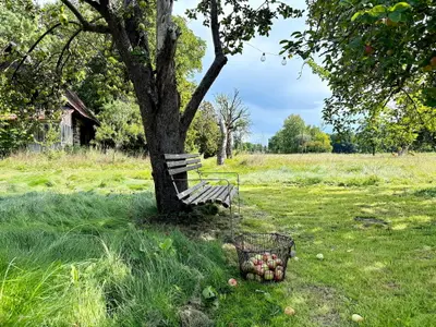 Ferienwohnung für 4 Personen (72 m²) 4/10