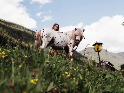 Ferienwohnung für 2 Personen (30 m²) in Weißensee 9/10