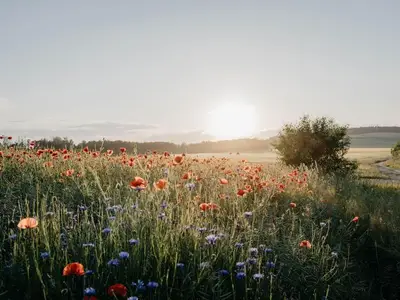 Ferienwohnung für 4 Personen (65 m²) 3/10