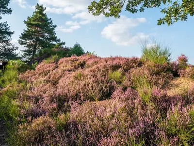 Ferienwohnung für 4 Personen (57 m²) in Cuxhaven 10/10