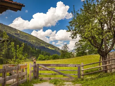 Ferienwohnung für 6 Personen (95 m²) 8/10