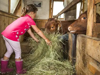 Ferienwohnung für 6 Personen (95 m²) 9/10
