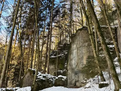 Ferienwohnung für 4 Personen (42 m²) in Stadt Pottenstein 3/9