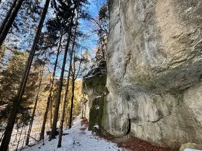 Ferienwohnung für 4 Personen (42 m²) in Stadt Pottenstein 4/9