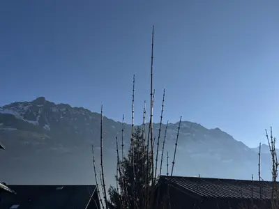 Aussicht vom Wohnzimmer