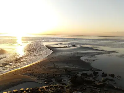 Ferienwohnung für 2 Personen (35 m²) in Jade 9/10