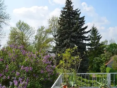 Ferienwohnung für 5 Personen (100 m²) in Lübbenau/Spreewald 4/10