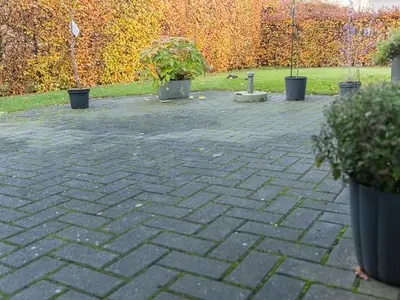 Ferienwohnung für 3 Personen (70 m²) in Hesel 3/10