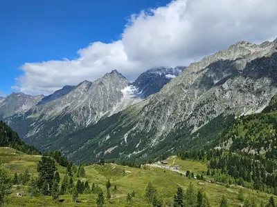 WhatsApp Image 2026-01-05 at 13.48.51