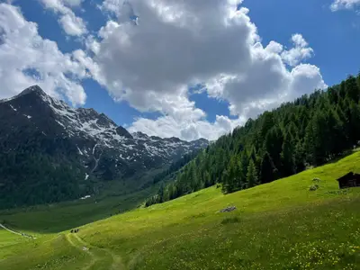 WhatsApp Image 2026-01-05 at 14.05.39 (1)