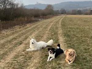 Ferienwohnung für 2 Personen (45 m²) in Bad Staffelstein
