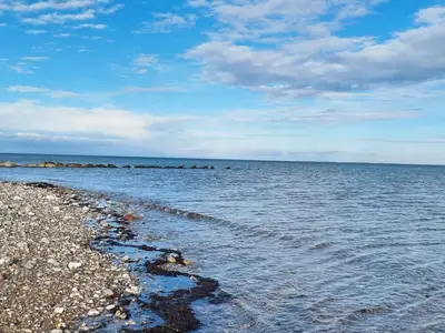 Ferienwohnung für 2 Personen (39 m²) in Heiligenhafen 7/7