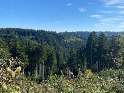 Ferienwohnung für 4 Personen (48 m²) 7/10