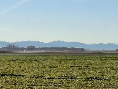 Ferienwohnung für 5 Personen (100 m²) in Weil 6/10