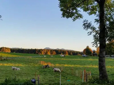 Ferienwohnung für 4 Personen (80 m²) in Waakirchen 9/10