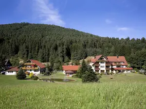 Ferienwohnung für 3 Personen (35 m²) in Baiersbronn