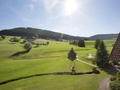 Ausblick und Teich Landhaus Mühlengrund