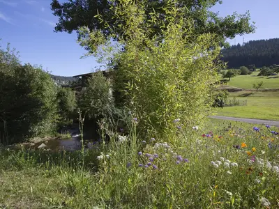 Natur Landhaus Mühlengrund