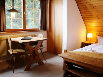 Ferienwohnung für 2 Personen (31 m²) in Hinterzarten 2/10