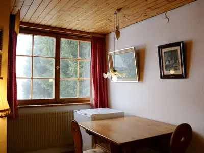 Ferienwohnung für 2 Personen (31 m²) in Hinterzarten 6/10