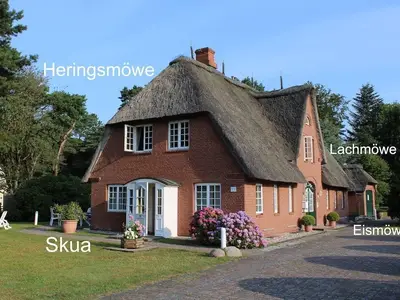 Ferienwohnung für 4 Personen (75 m²) in Nebel 1/10