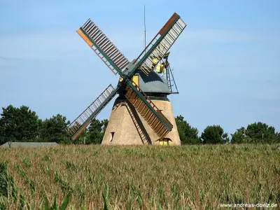 Ferienwohnung für 5 Personen (50 m²) in Süddorf 7/7