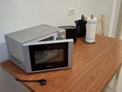 Ferienwohnung für 1 Person (46 m²) in Leuna 10/10