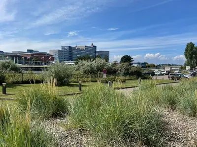 Ferienwohnung für 5 Personen (46 m²) in Heiligenhafen 7/7