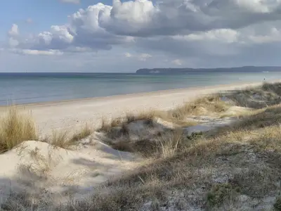 FeWo Treibholz in PRORA - 7.41-8