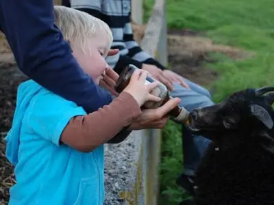 Ferienwohnung für 8 Personen (100 m²) in Kirchnüchel 7/10