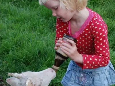 Ferienwohnung für 8 Personen (100 m²) in Kirchnüchel 8/10