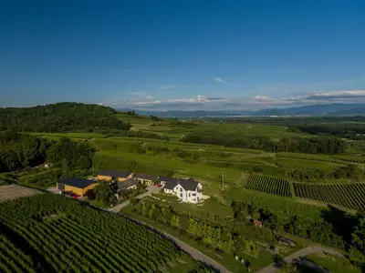Ferienwohnung für 2 Personen (38 m²) in Ihringen 1/7