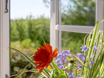 Ferienwohnung für 2 Personen in Pellworm 2/10