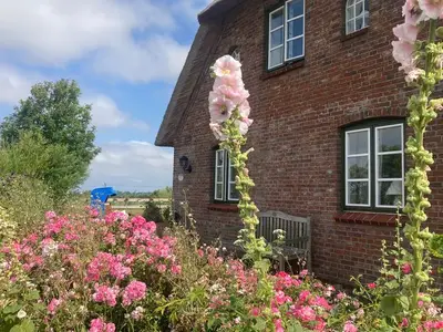 Ferienwohnung für 2 Personen in Pellworm 7/10