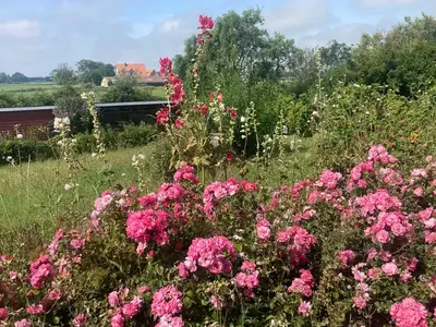 Ferienwohnung für 2 Personen in Pellworm 9/10