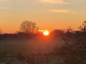 Ferienwohnung für 5 Personen (85 m²) in Suthfeld