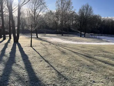 Wintersonne im Park
