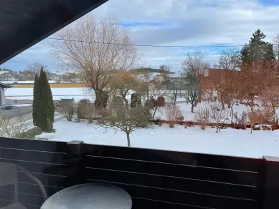 WhatsApp Image 2026-01-26 at 15.34.07 (2)