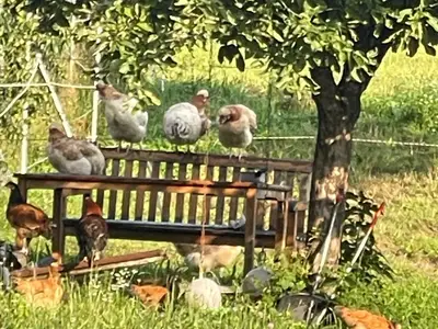 WhatsApp Image 2026-01-26 at 17.01.22