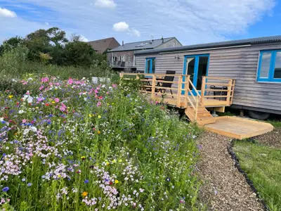 Tiny House Deichgraf Aussenansicht