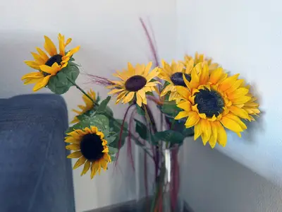 Ferienwohnung für 4 Personen (50 m²) in Seeg 2/10