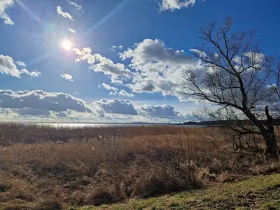 Ferienwohnung für 4 Personen (45 m²) in Lütow 1/10