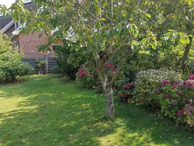 Ferienwohnung für 4 Personen (55 m²) in Westerland (Sylt) 3/10