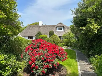 Ferienwohnung für 2 Personen (30 m²) in Westerland (Sylt) 2/10