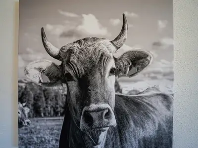 Ferienwohnung für 4 Personen (125 m²) 4/10