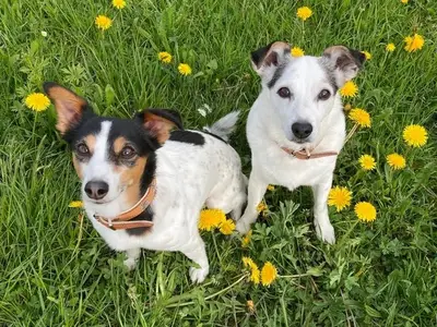 Ferienwohnung für 2 Personen (55 m²) 2/10