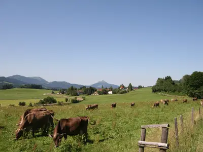 Ferienwohnung für 5 Personen (160 m²) 10/10